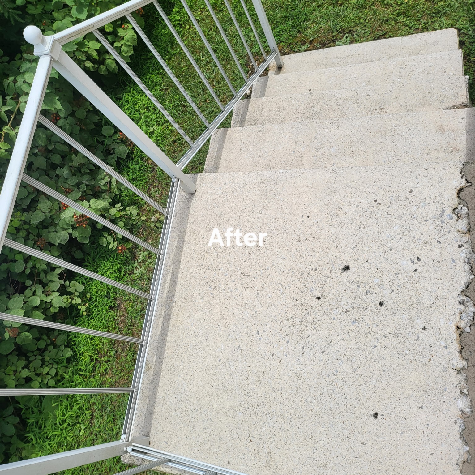 Exterior Cleaning Service